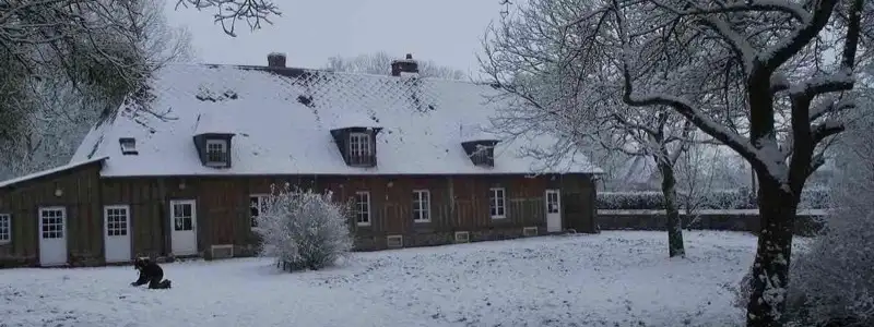 photo2